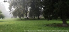 2021.09.17 - Sprzątanie świata - 3e
